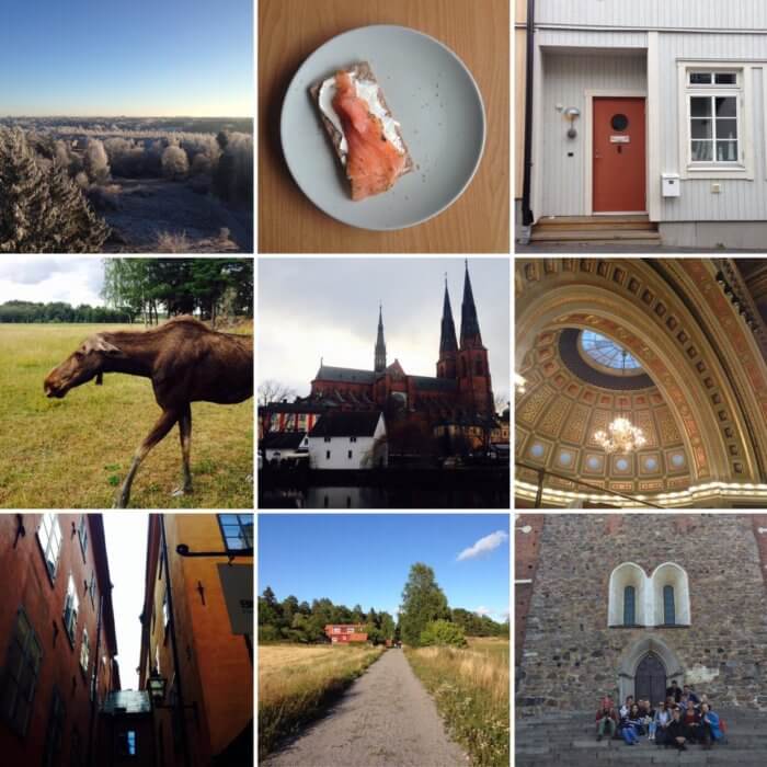 A 3x3 grid of pictures showing various things in Sweden